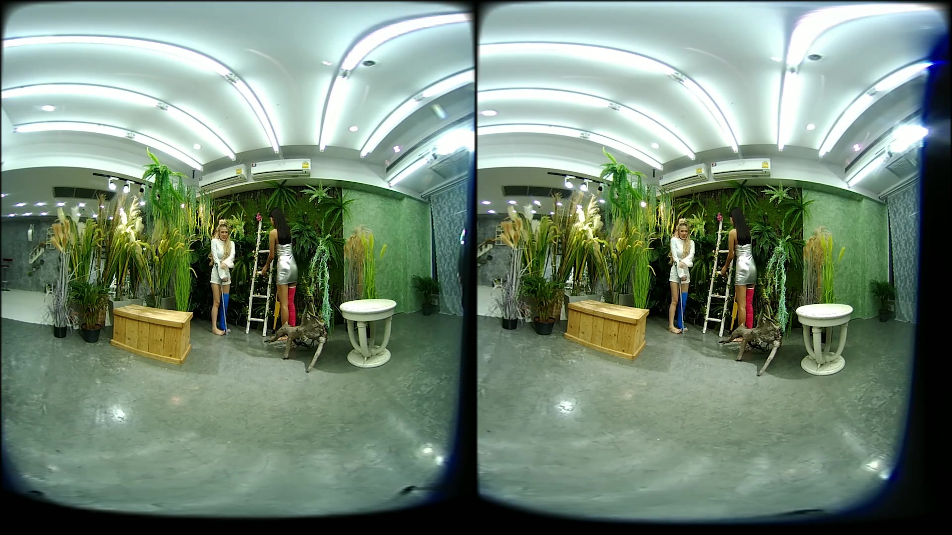 2 Girls With Long Cast Leg Visit A Flower Store 2 - VRpussyVision