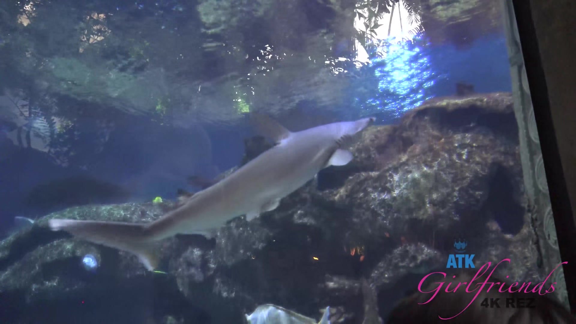 Virtual Vacation In Las Vegas With Rina Ellis Part 1