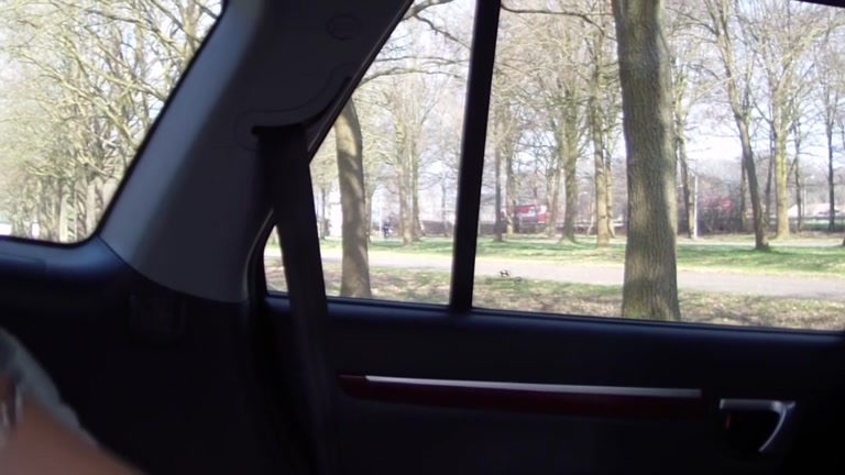 Insatiable paramours film sex in the car