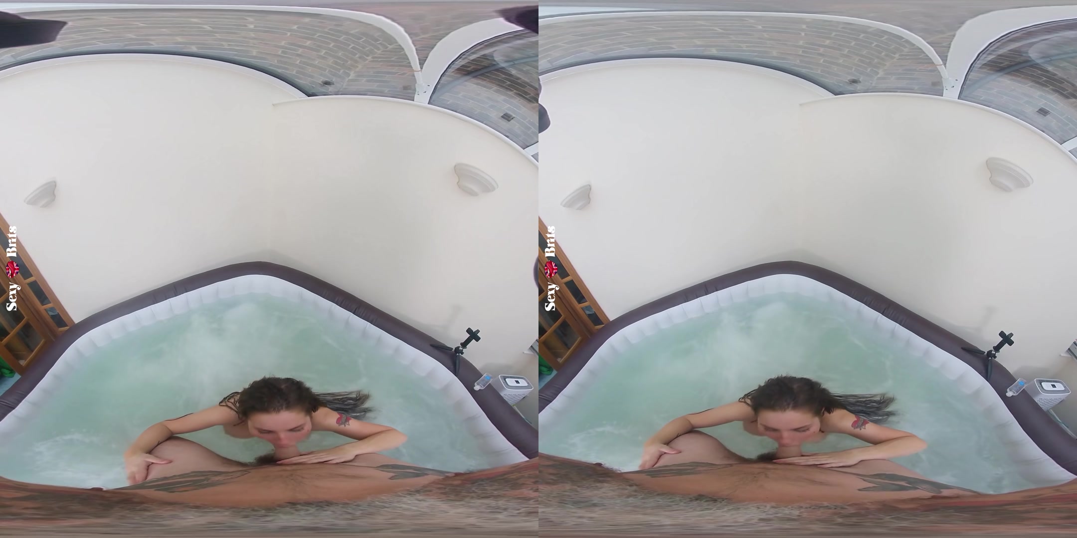 How to Bathe Your Aussie I - perVRt