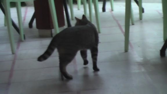 Hot threesome with BBC
