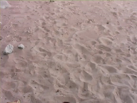 Babe is fucked at the beach