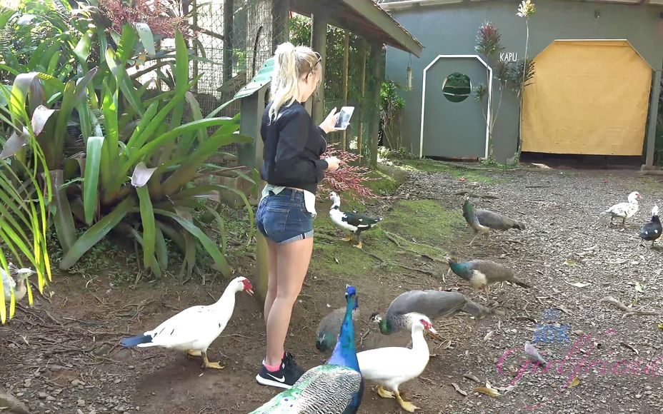 Virtual Vacation In Hawaii With Bailey Brooke Part 7