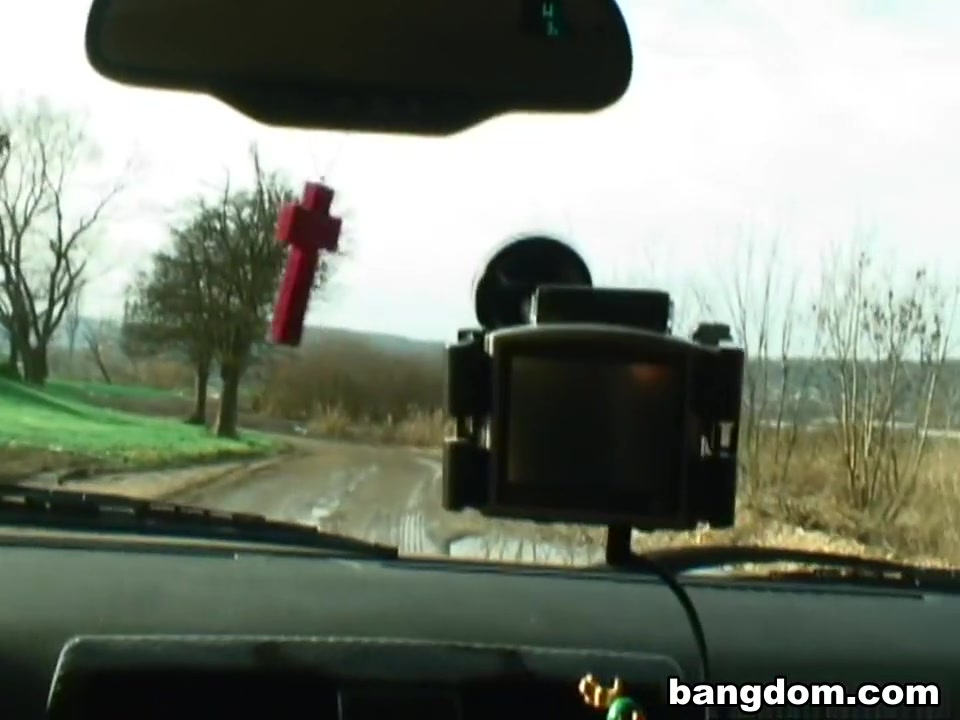 Roadside Doggy