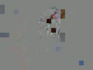 Shower 13