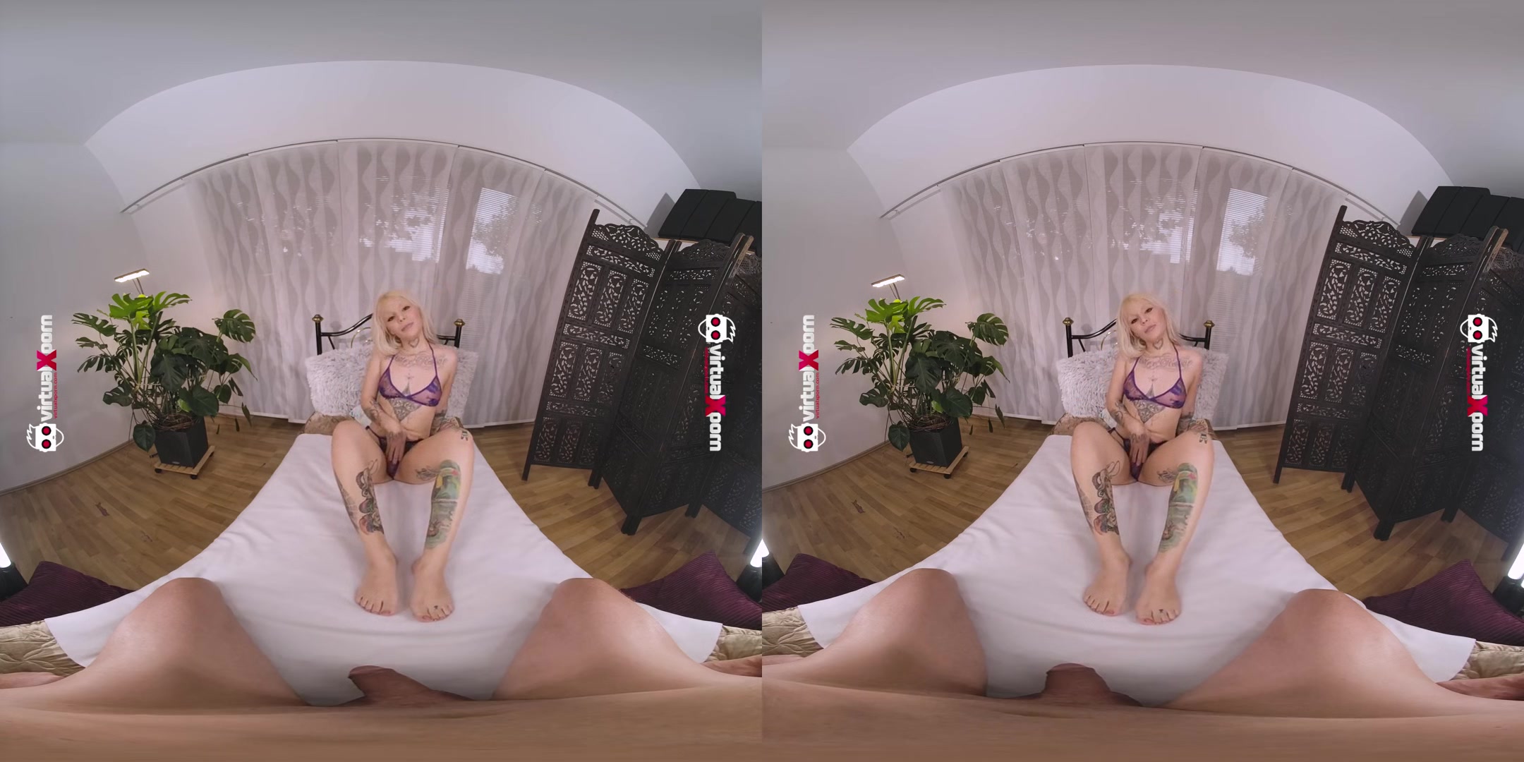 Ass Prolapse Queen Kyra Sex Dp Pov Fucked.