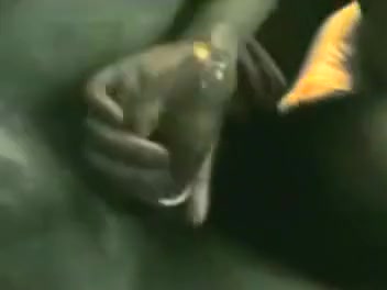 Desi gal in group sex with 2 allies