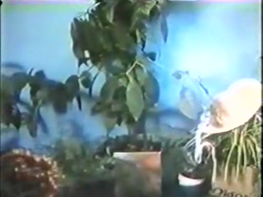 C.J. Laing, Tony Perez, Jennifer Jordan in vintage porn site