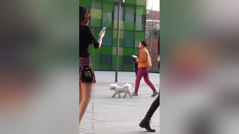 Chinese girl in short skirt