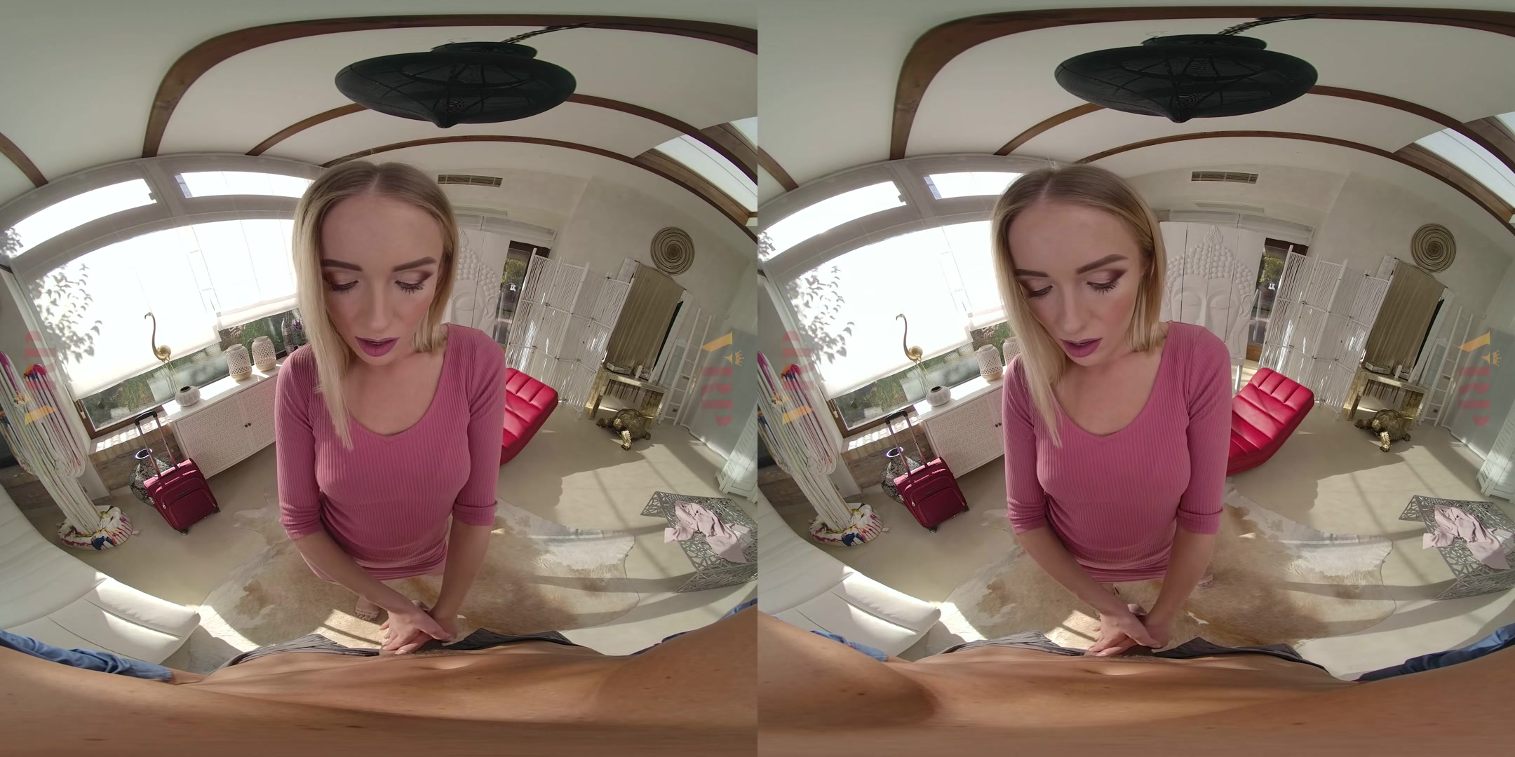 Anal-Ize This 2 - VRPFilms