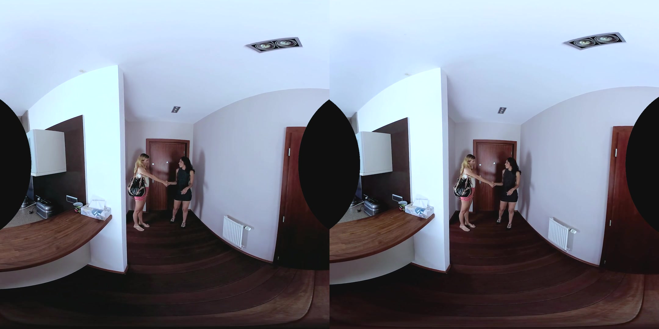 CzechVR 240 Apartment Paydown