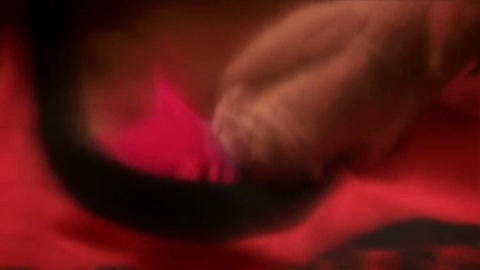 Cosplay Porn: Softcore Tentacle 8