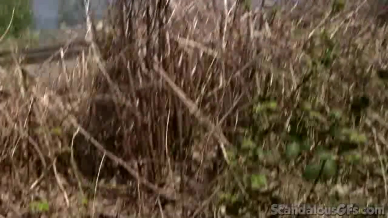 Blonde Girflriend Blows Boyfriend's Cock Outdoors