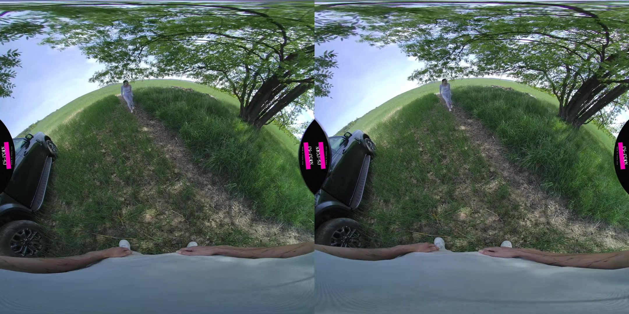 Nicole Love In A Pickup From A Different Perspective