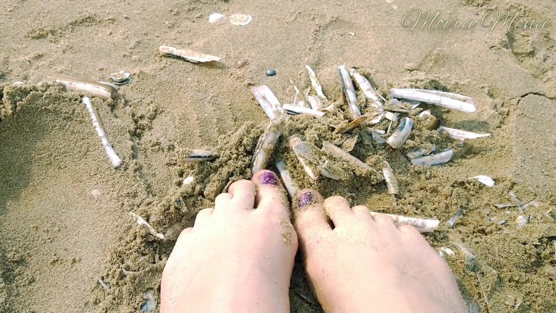 Sand And Shells Under My Feet
