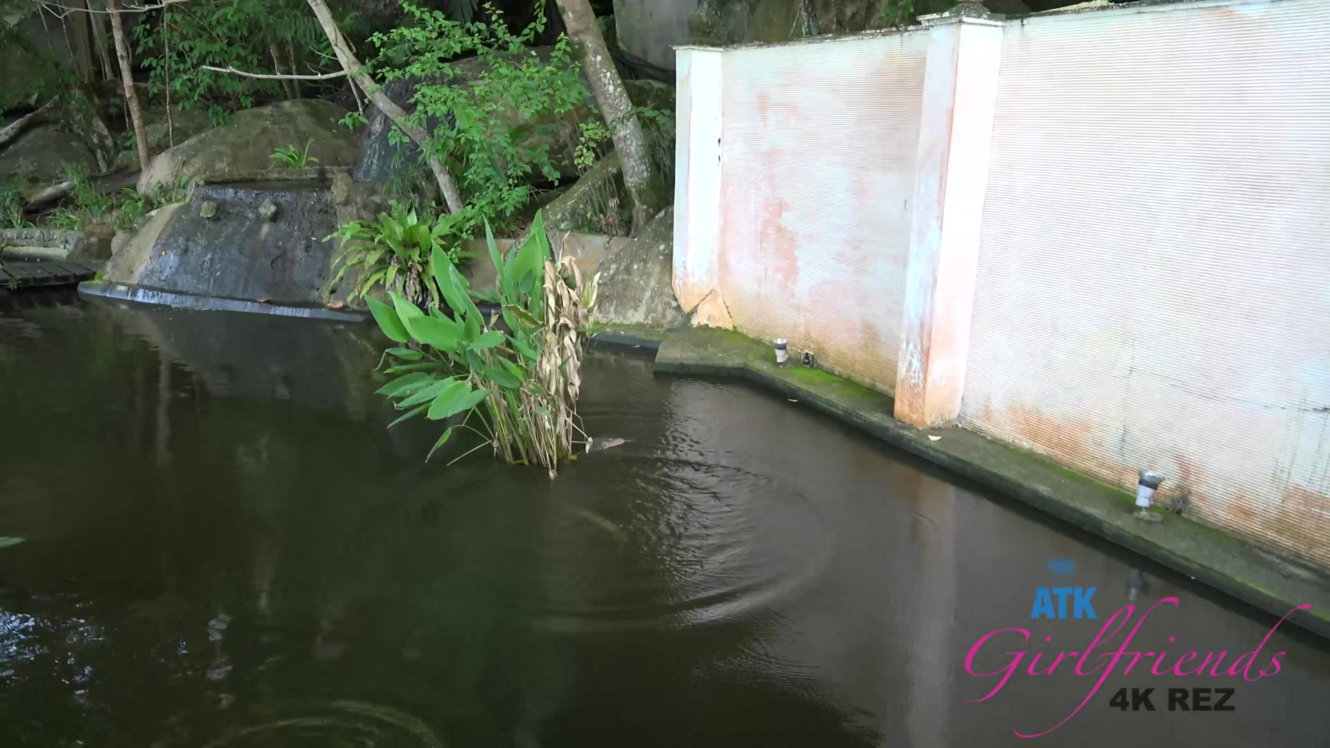 Virtual Vacation Tioman Island Elena Koshka 6/6