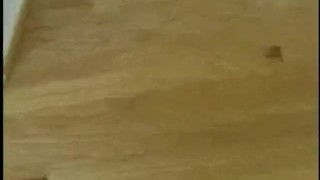 Two Timers 3 - Scene 3