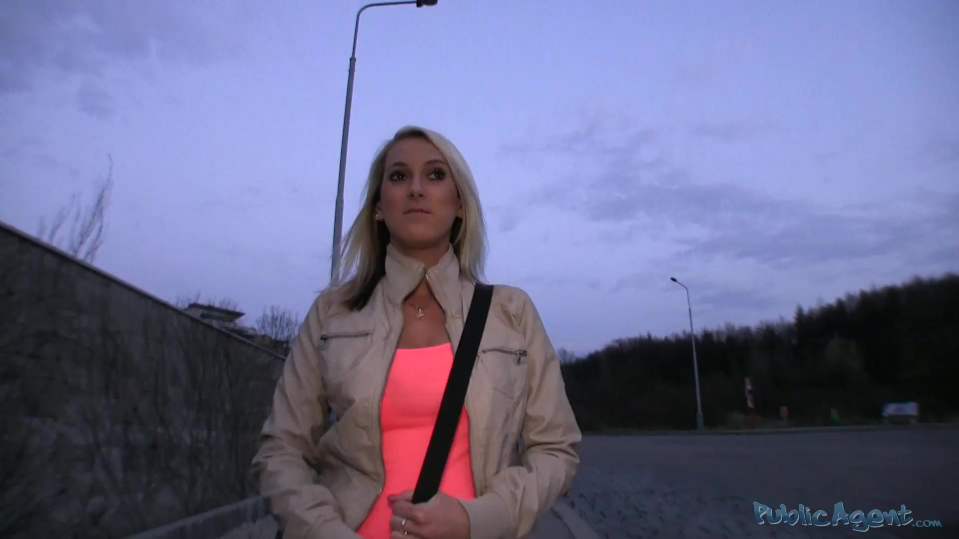 PublicAgent . Jenka