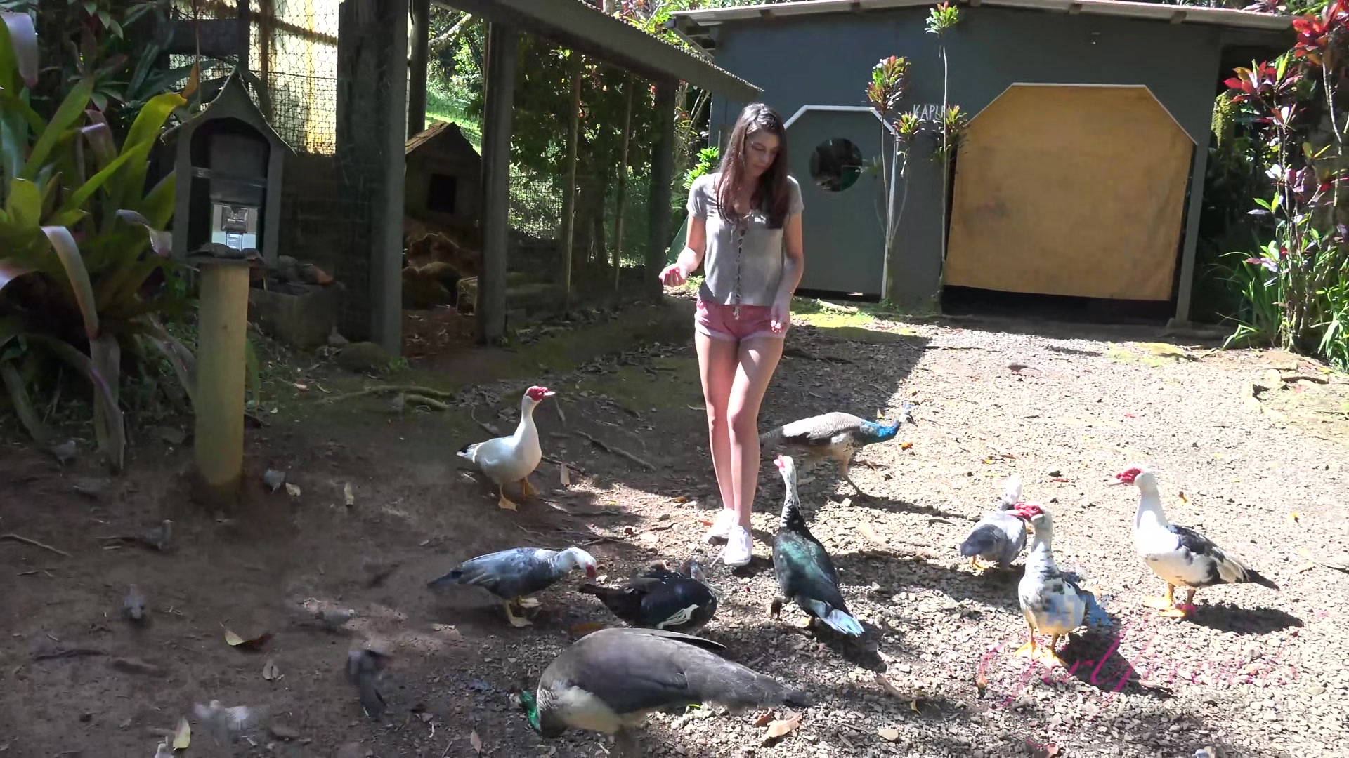 Virtual Vacation On Hawaii With Olivia Lua 3/9