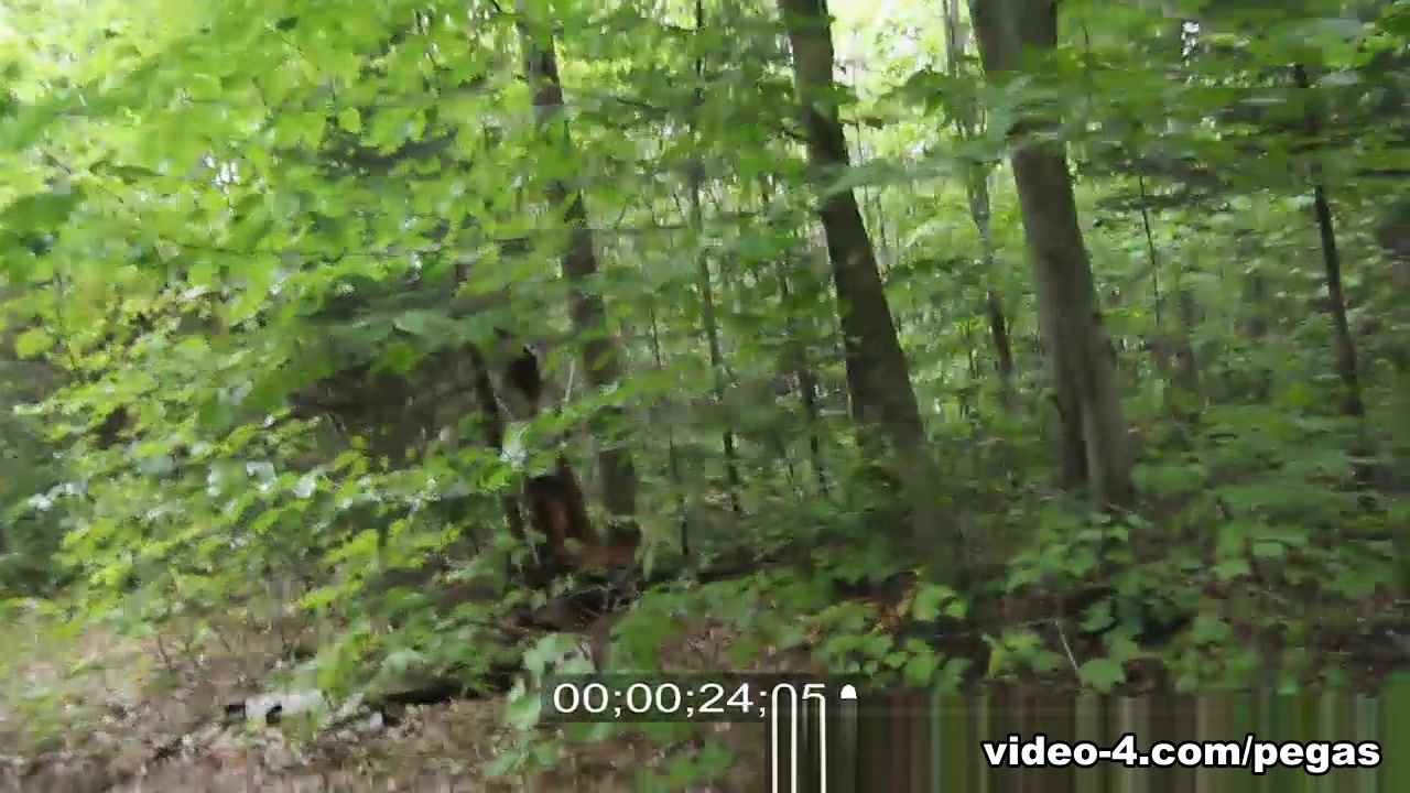 Brind Love & Dick Pickaxe in Lil Red Riding Hood Caugh and Fucked - PegasProductions