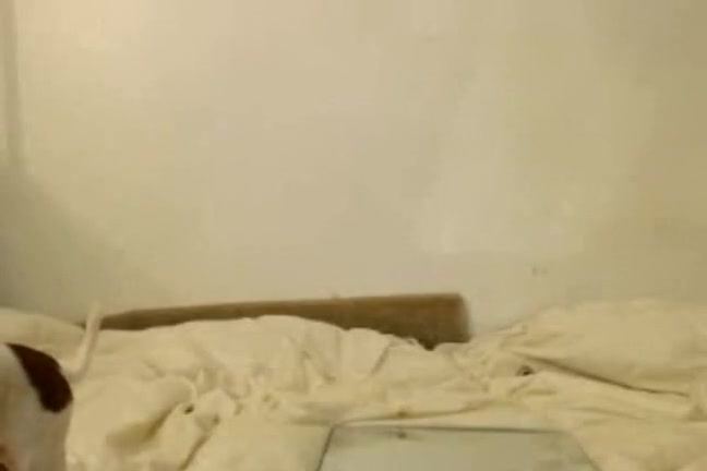 Blond girl wearing her favorite heels and masturbating