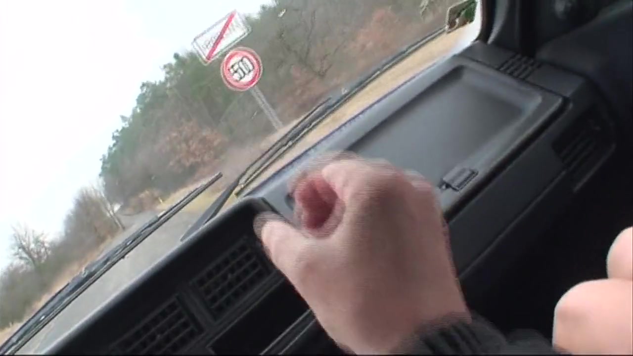 Sexy Dark Haired Girl Gets Picked Up And Fucked In The Woods