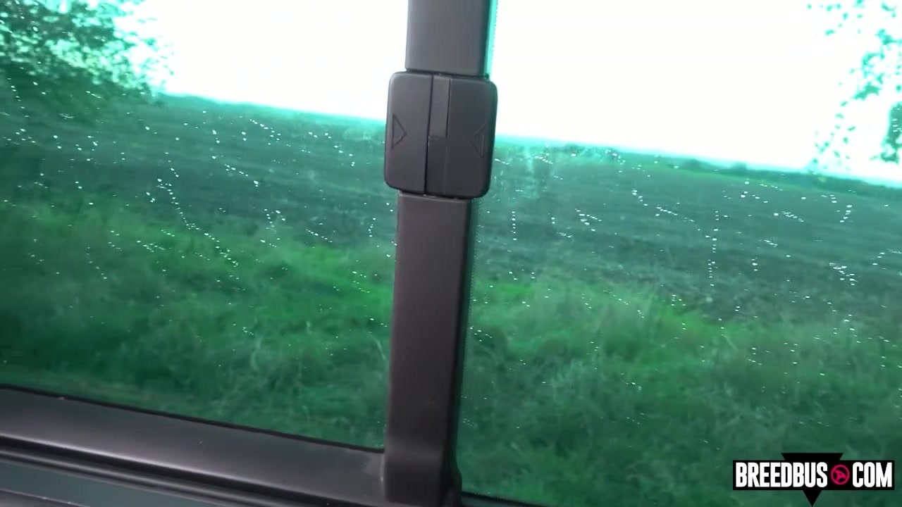 I Thought you were taking me Home - Breedbus