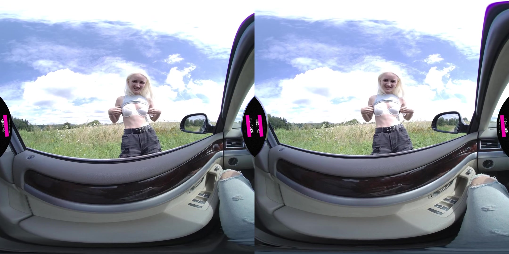 Sex In The Car And Nature With Daruma