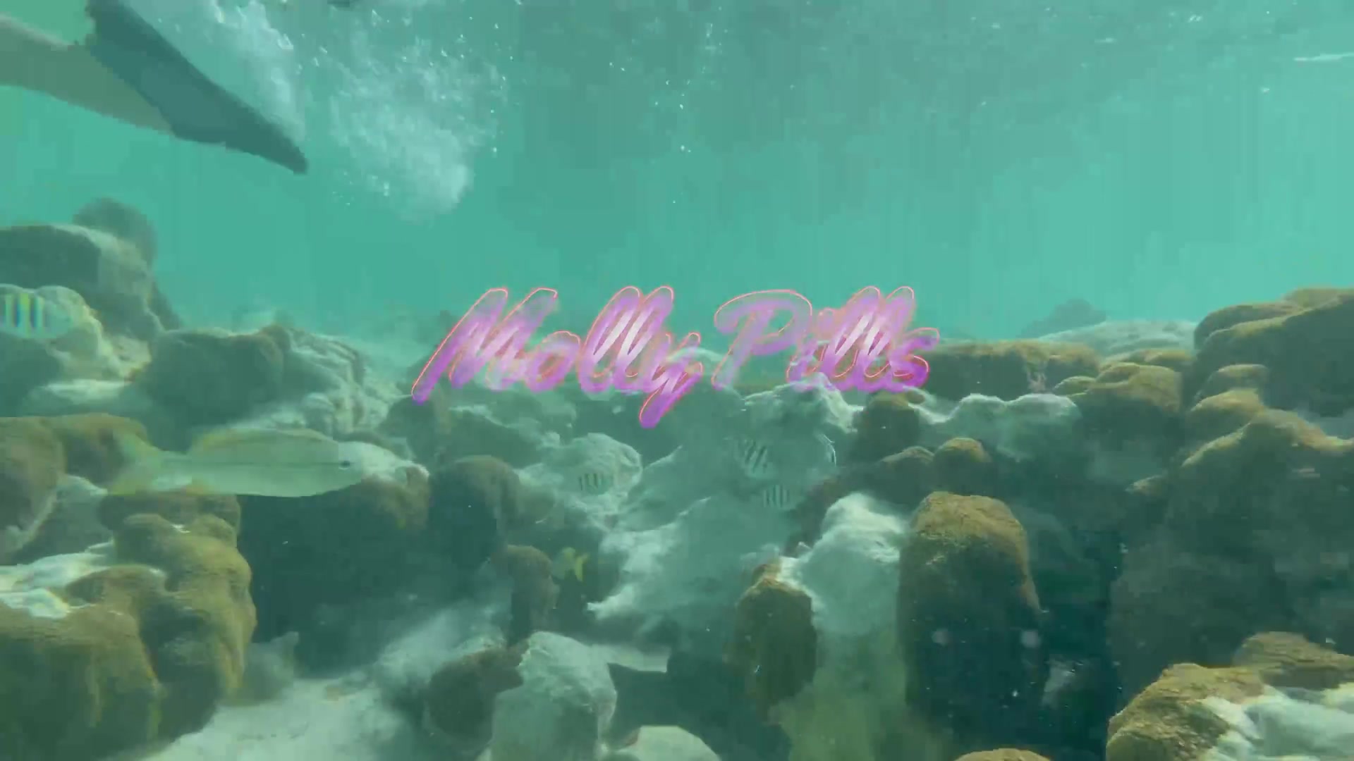 A Whole Day Of Adventures - Sex Movies Featuring Molly Pills