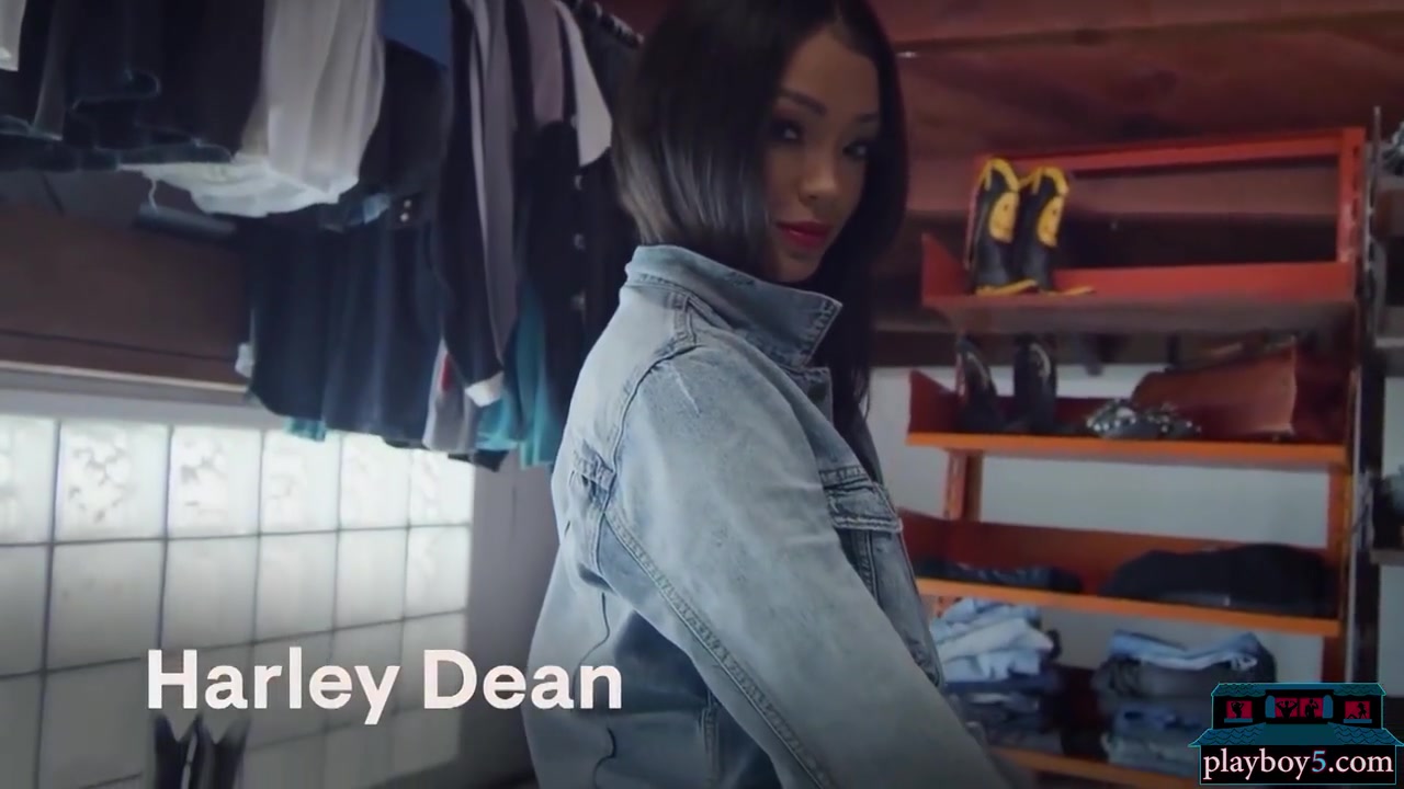 Big Booty Ebony Babe Solo Jeans Striptease For - Harley Dean