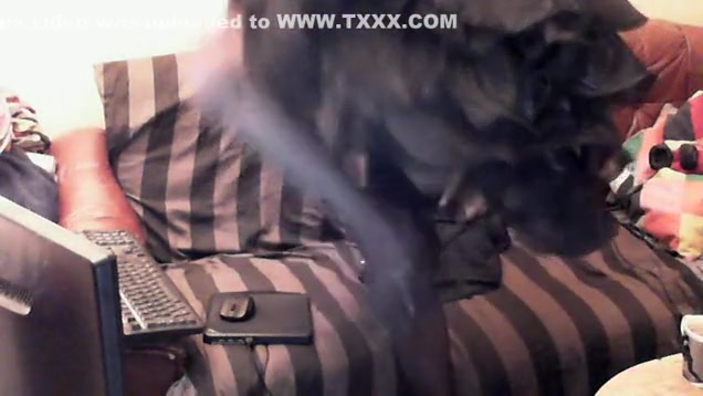 Amazing amateur shemale video with Lingerie scenes