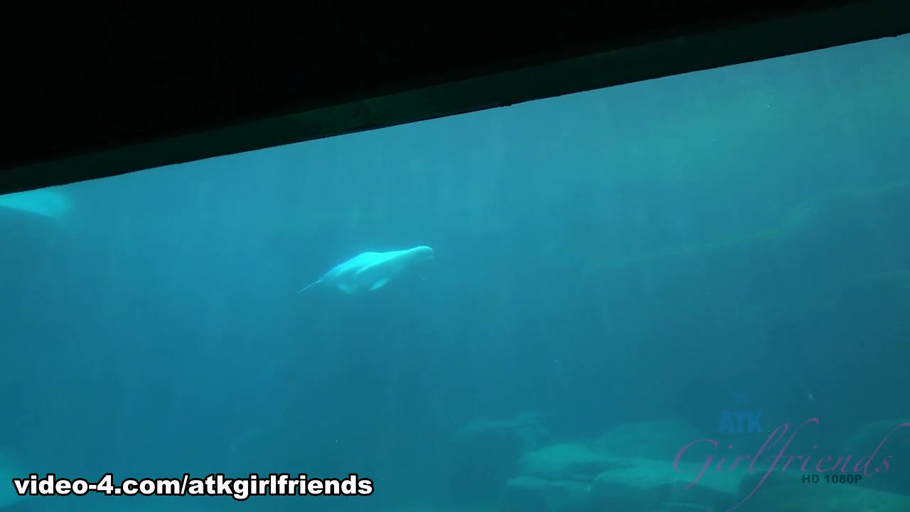 Cali Hayes in Virtual Vacation Movie - AtkGirlfriends