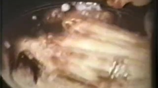 Peepshow Loops 63 70's and 80's - Scene 7