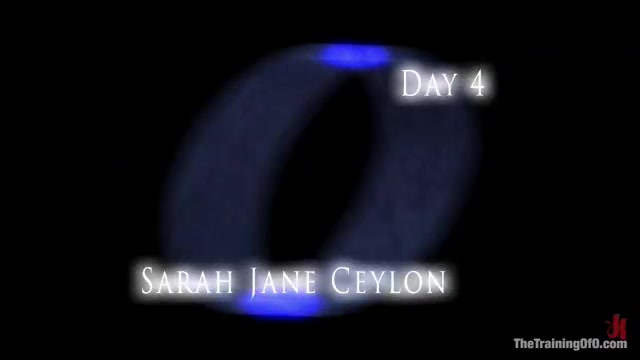 The Training Of Sarah Jane Ceylon, Day Four - Kink
