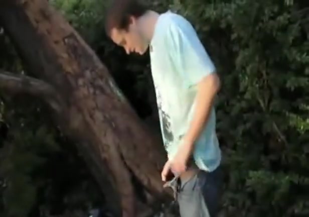 Trip to the woods
