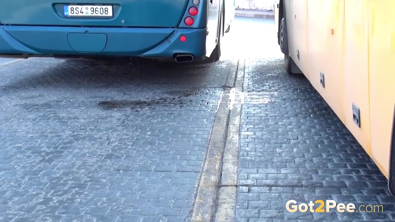 Compilation Of People Shamelessly Urinating Outdoors