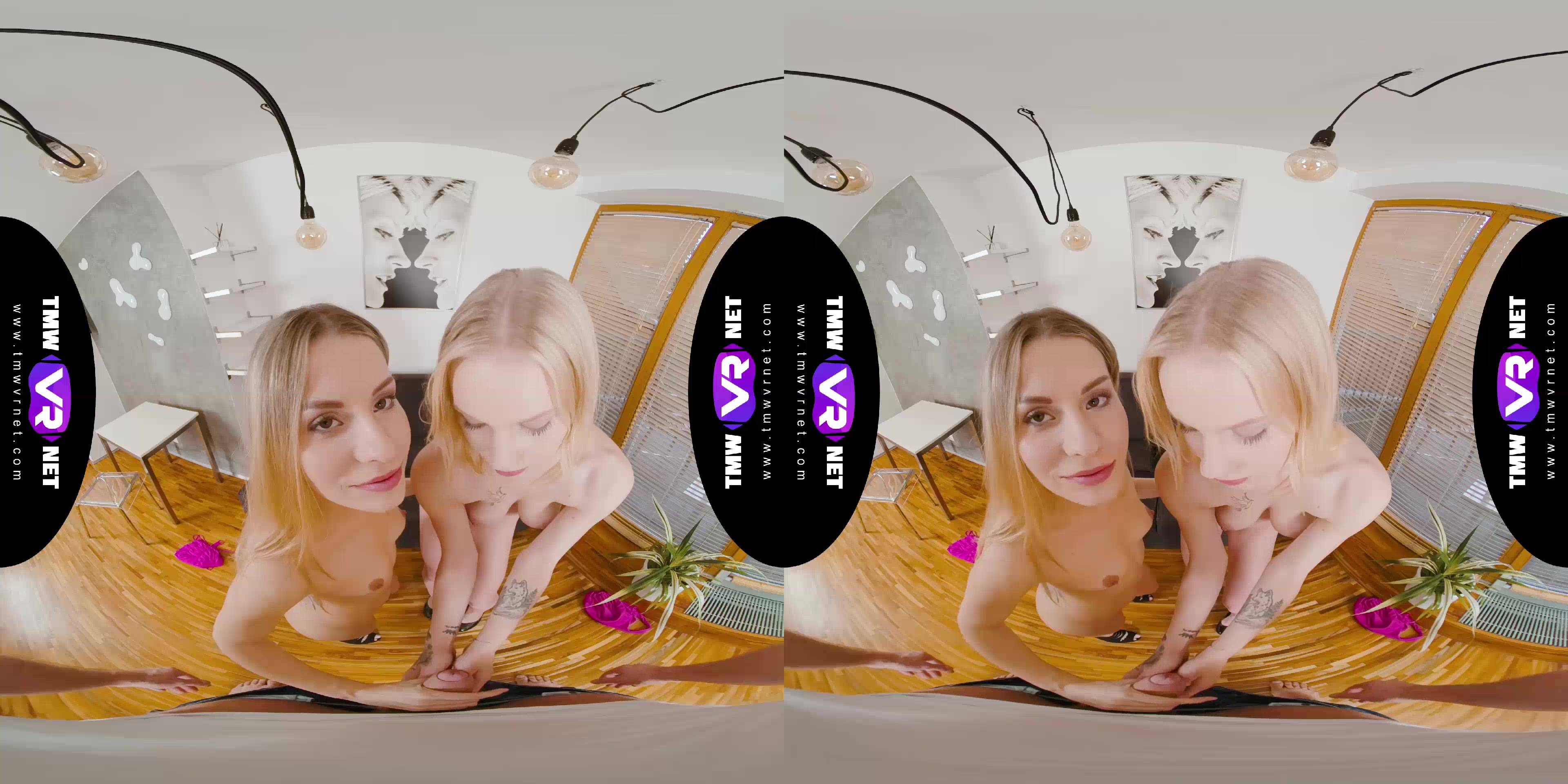 Desired orgy as a gift - TmwVRnet