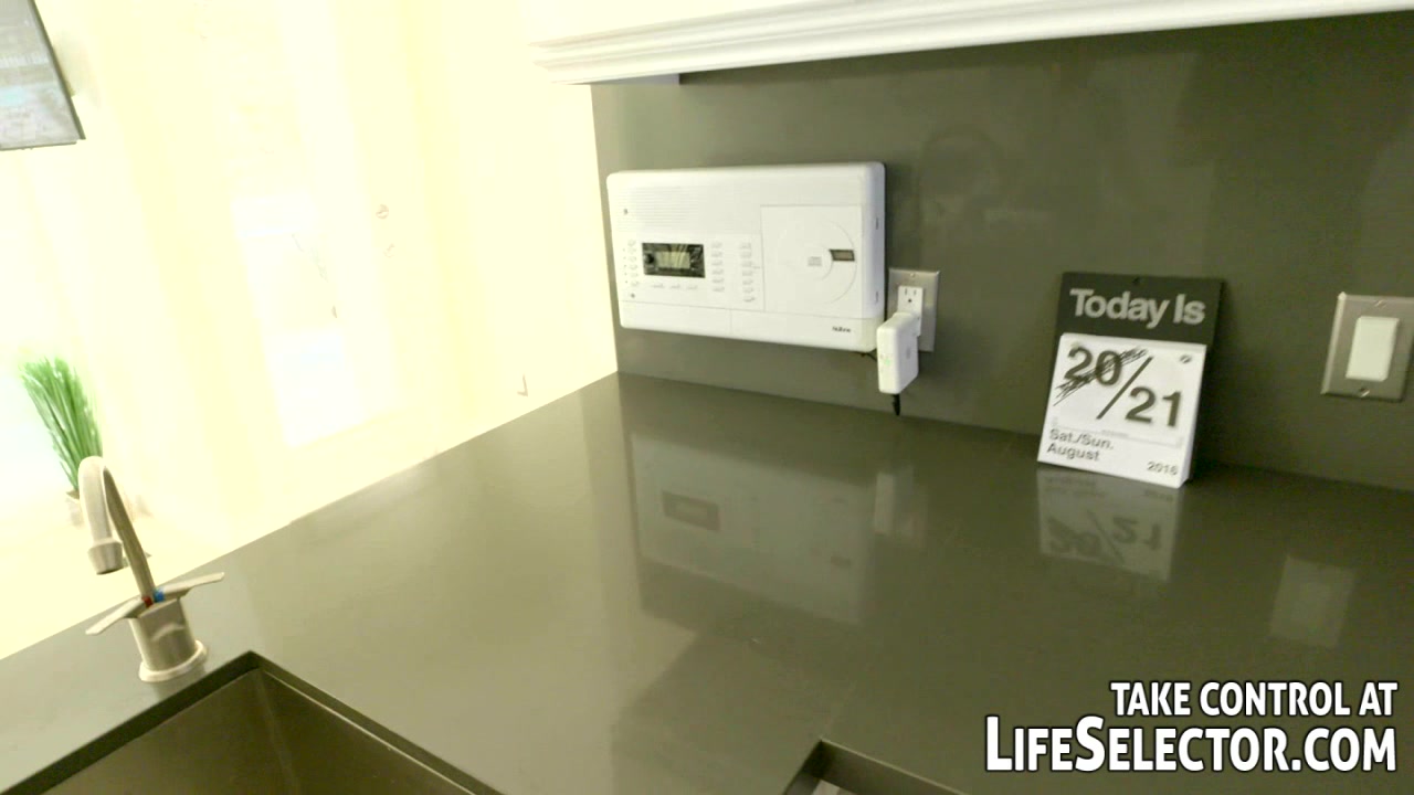 Naughty Number 21 - LifeSelector