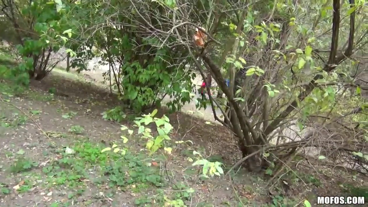 Picked up Pussy