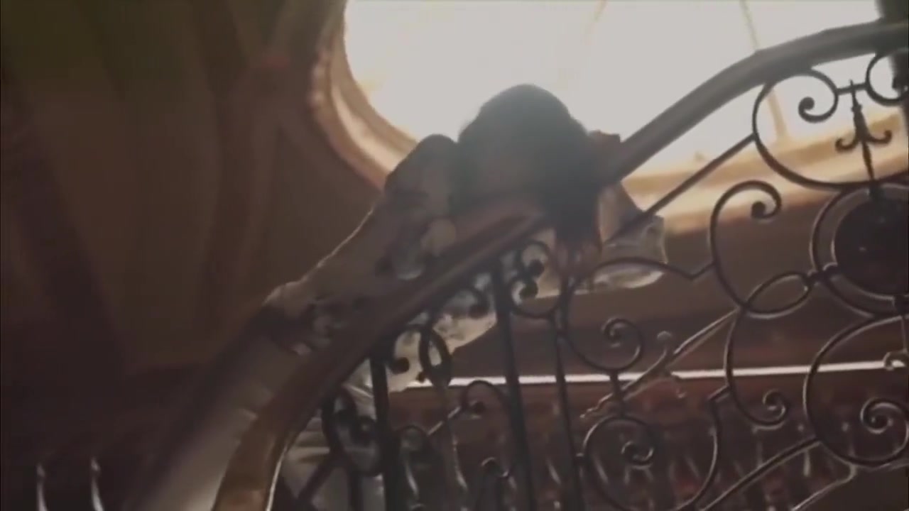 Exotic sex clip Big Boobs great