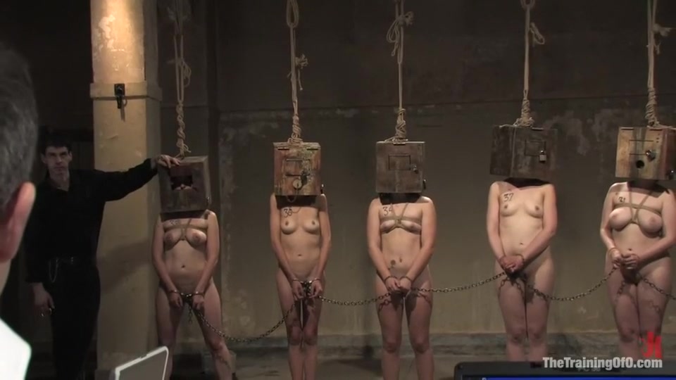 The Auditons Three