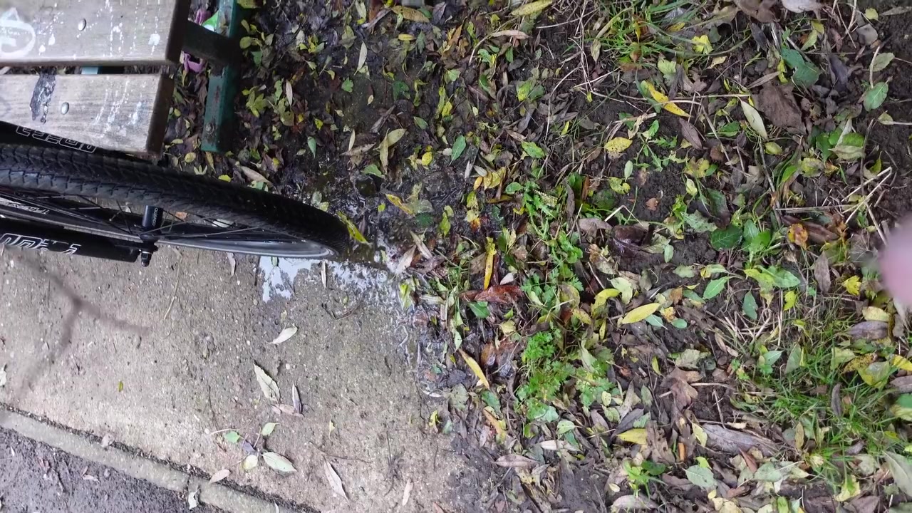 Another Desperate Bike Wee!