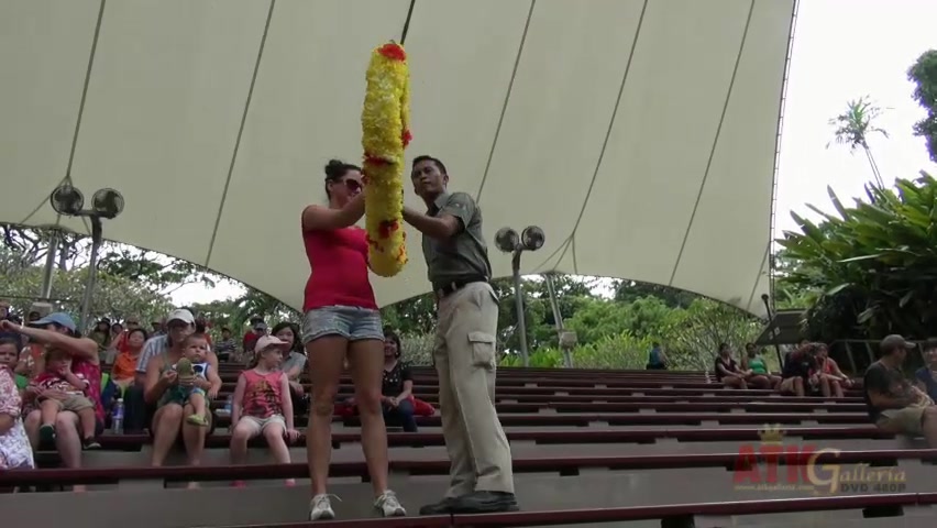 ATKGirlfriends video: virtual vacation with Hope Howell in Singapore