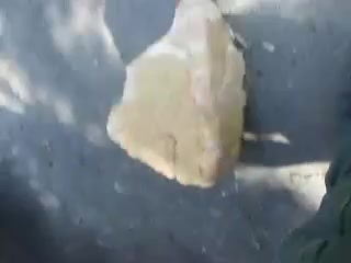Busty latina public blowjob