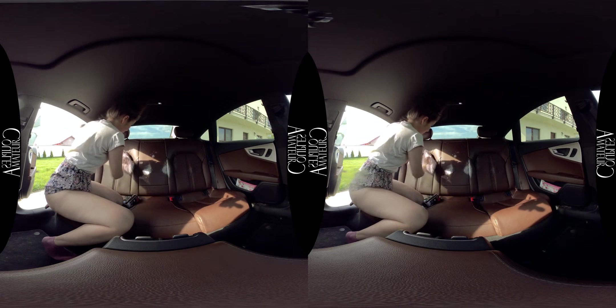 Backseat Quick Fuck - Amateur Boyfriend and Girlfriend 3D Porn