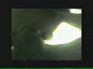 Asian bitch sucks cock with passion before fucking