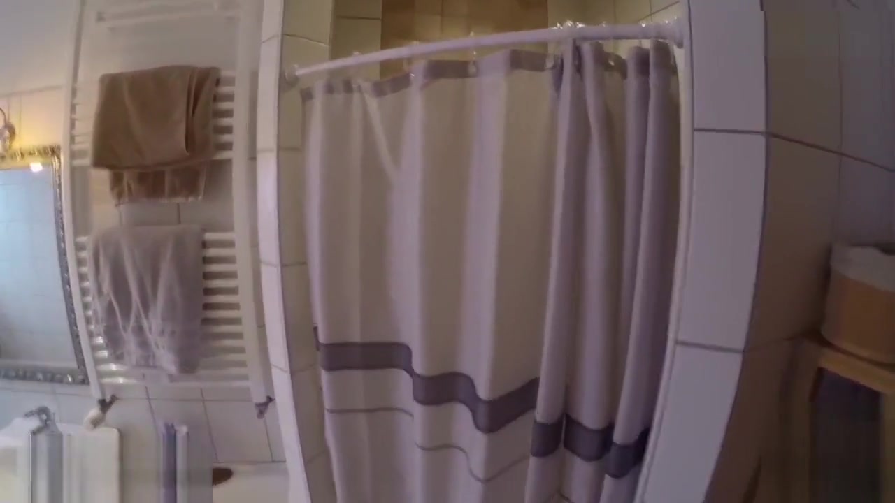 MyDirtyHobby - Blonde gets fucked in the bathroom