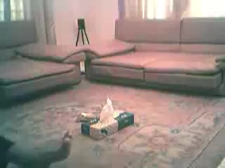 Bangladeshi prostitute uttara dhaka 04