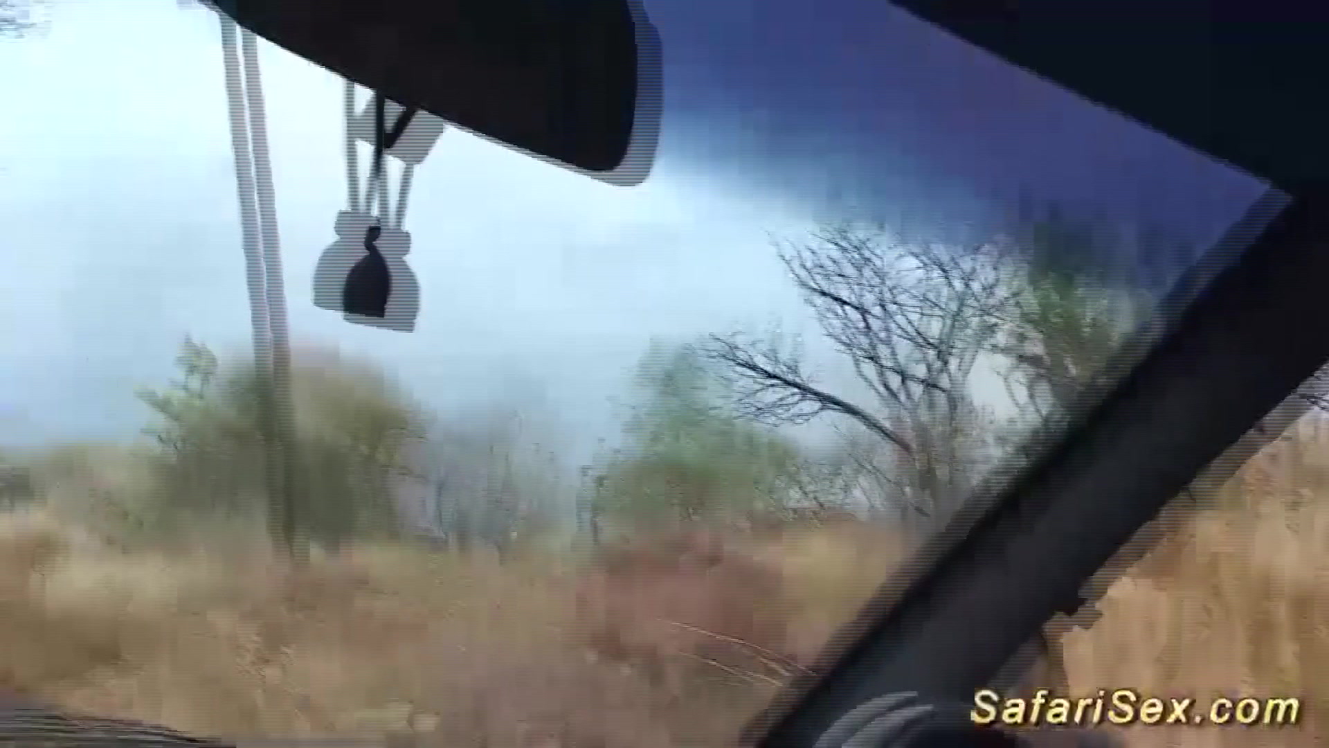 african babe picked up for outdoor fuck