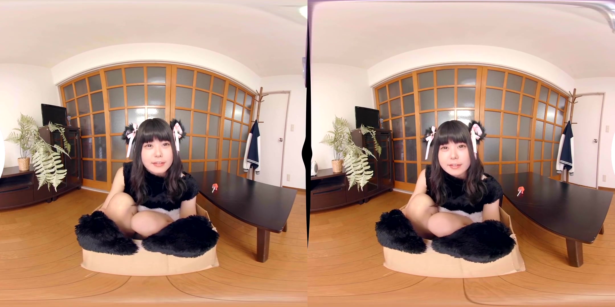 Mayo Usamimi Human Panda - FANTASTICA